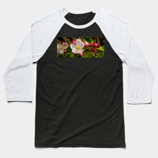 Apple Blossom Panorama Baseball T-Shirt